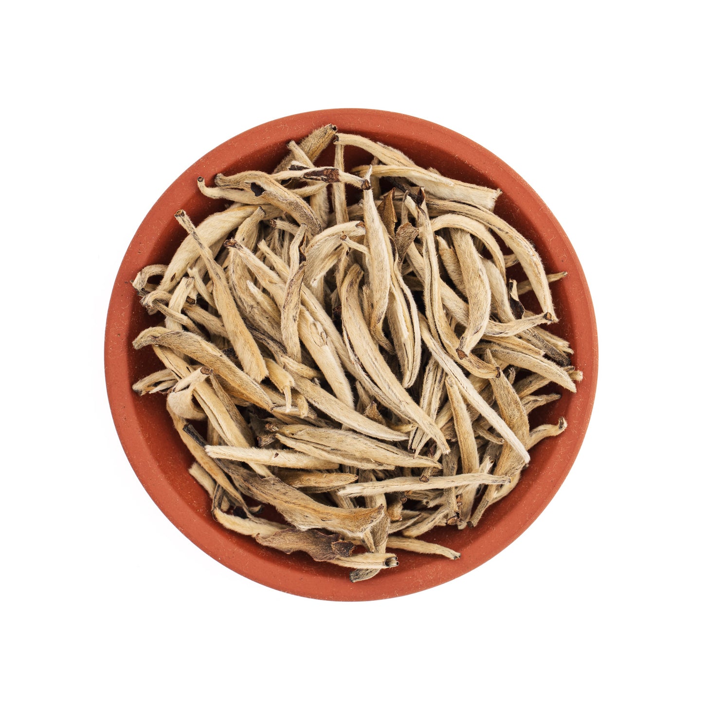 Silver Needle Tea