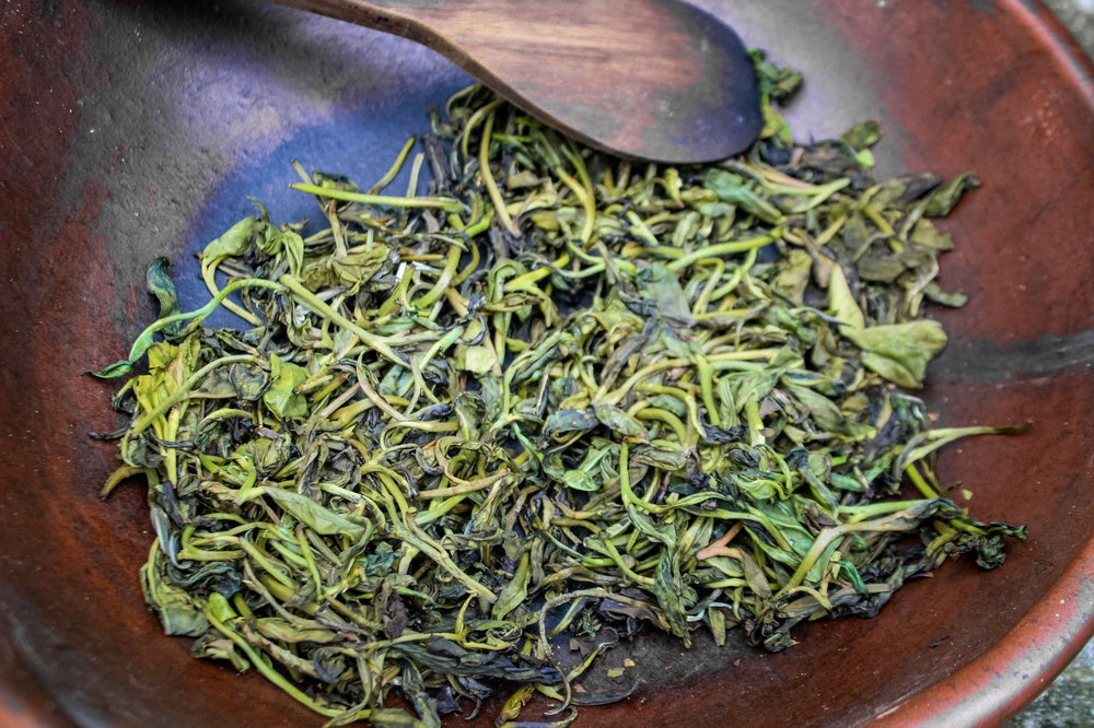 A Complete Buying Guide to Green Tea